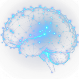Neuronen-Netzwerk Neuronen-Netzwerk